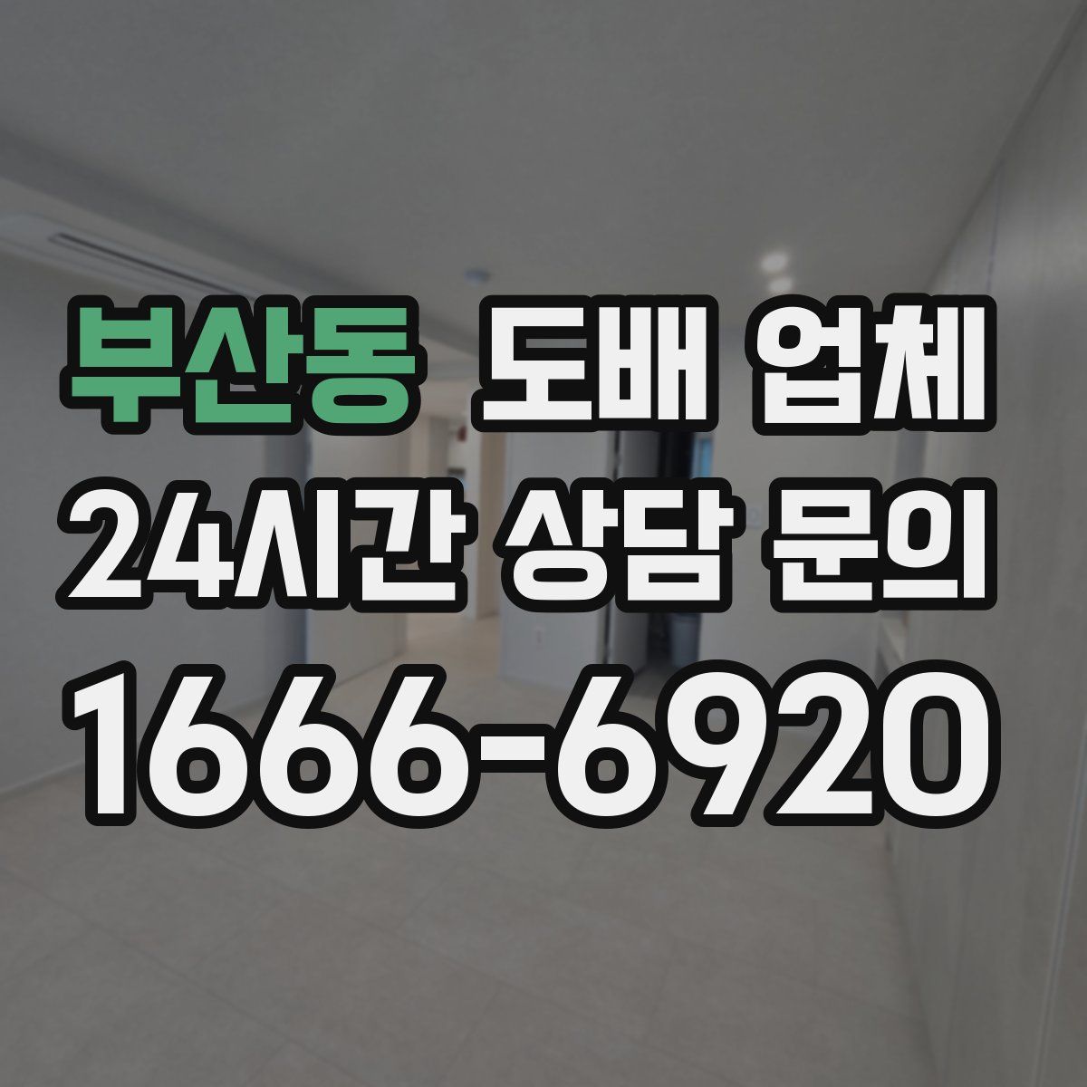 부산동 도배 업체