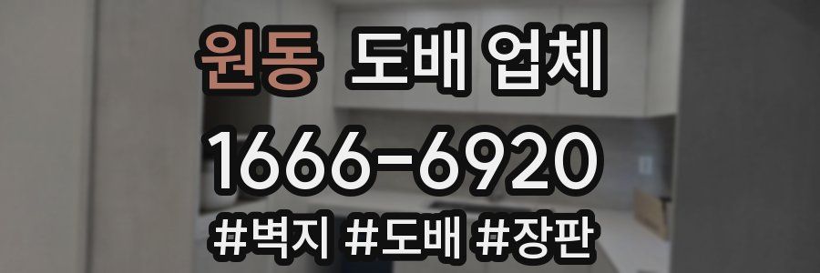 원동 도배 업체