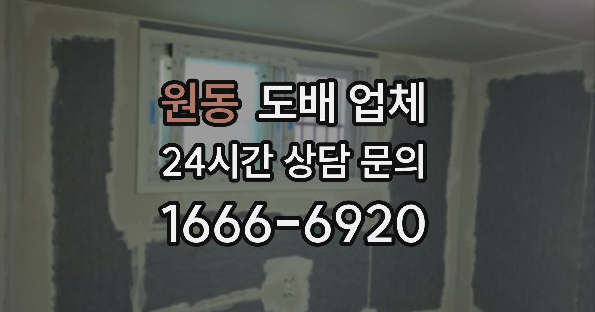 원동 도배 업체