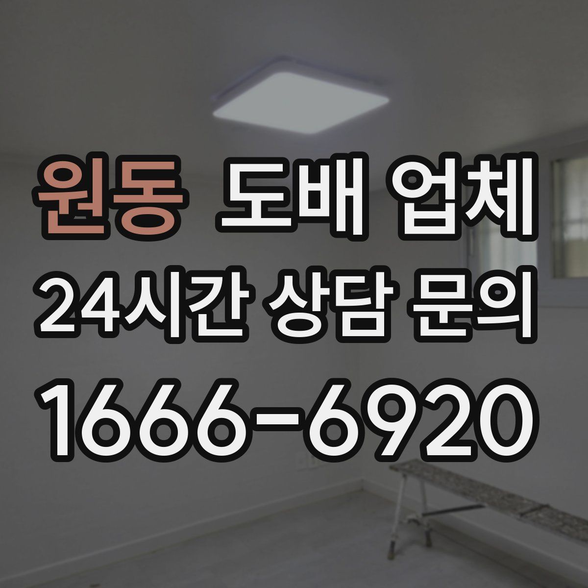 원동 도배 업체