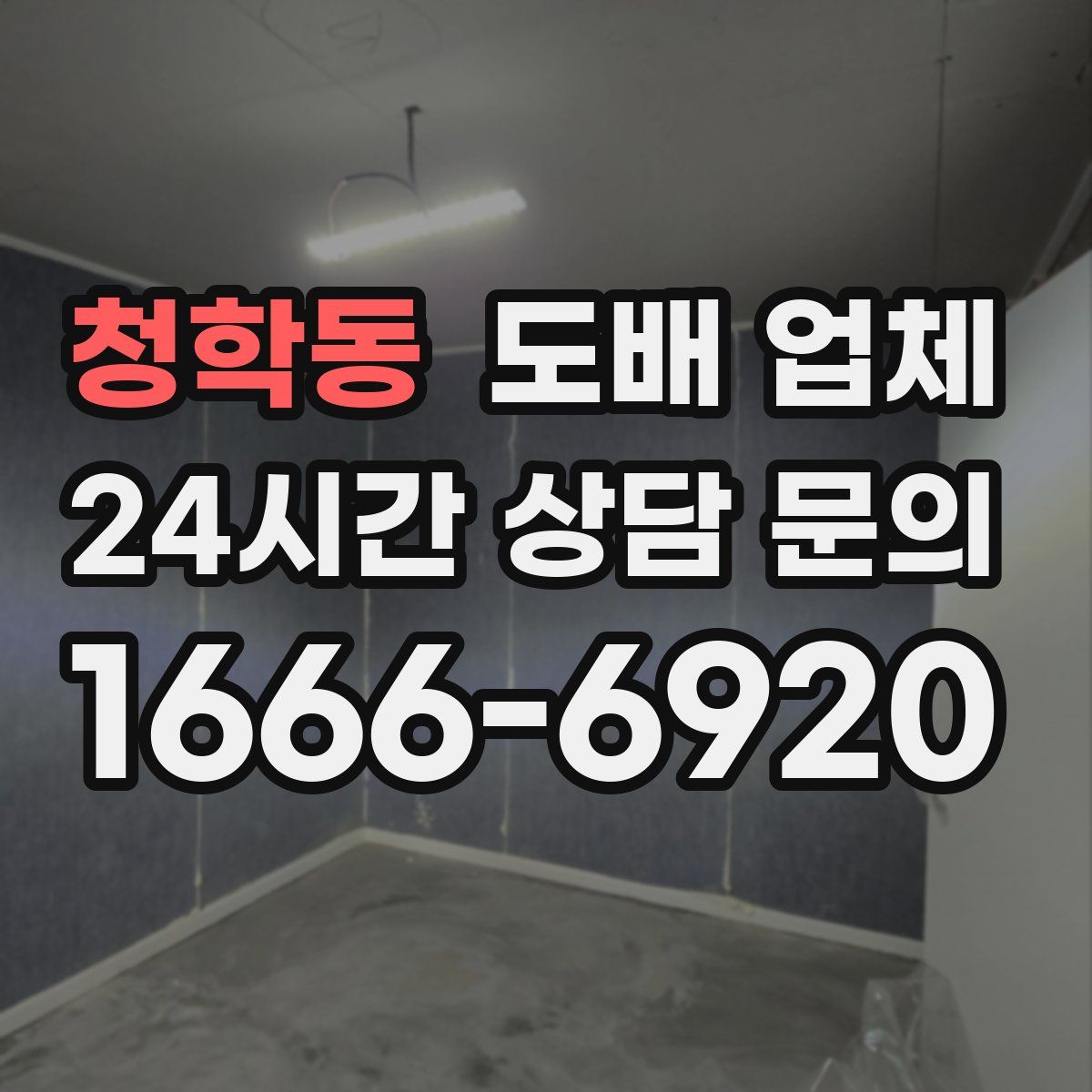 청학동 도배 업체