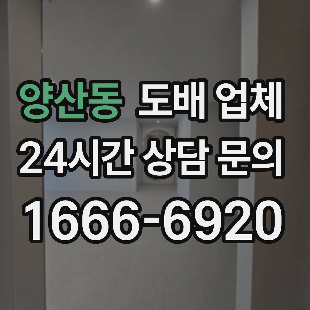 양산동 도배 업체