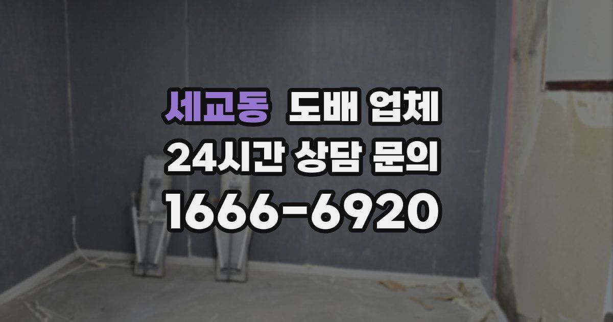 세교동 도배 업체