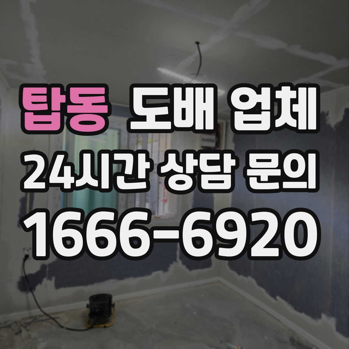 탑동 도배 업체