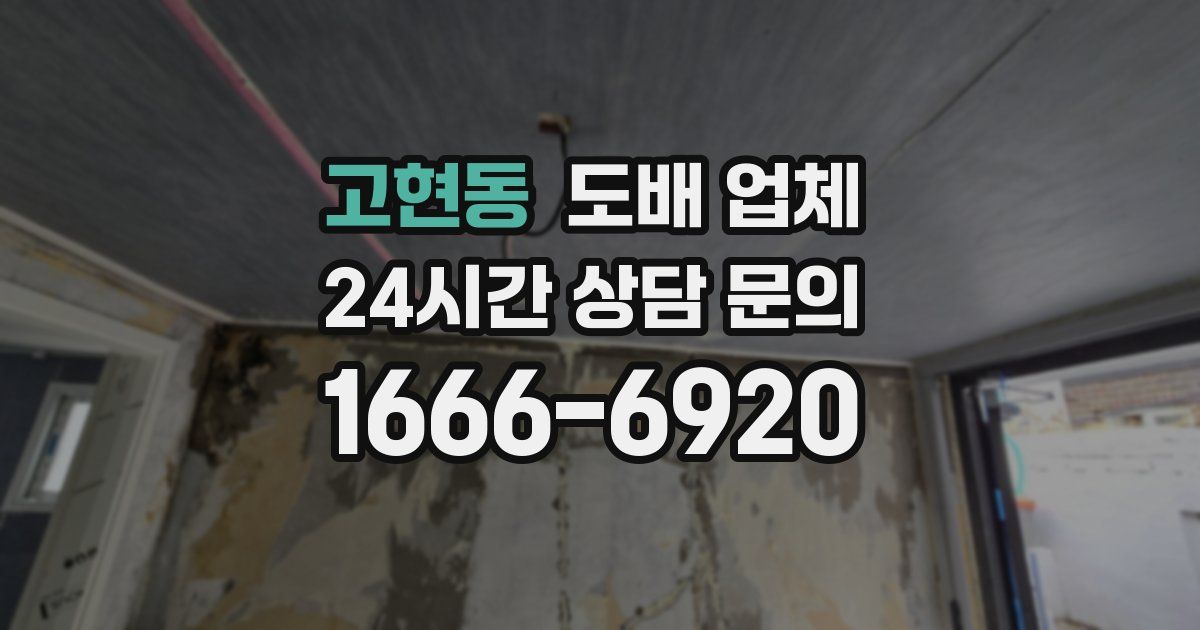 고현동 도배 업체