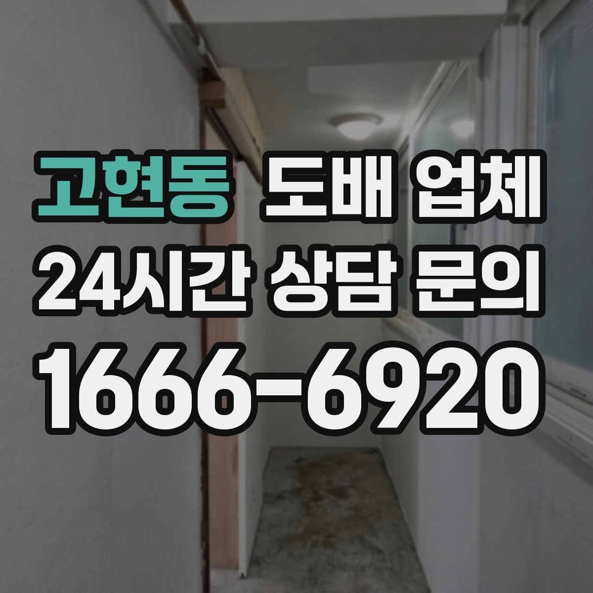 고현동 도배 업체