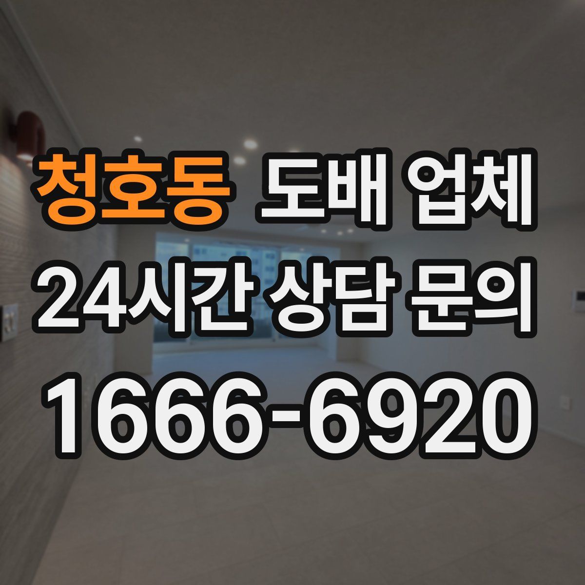 청호동 도배 업체
