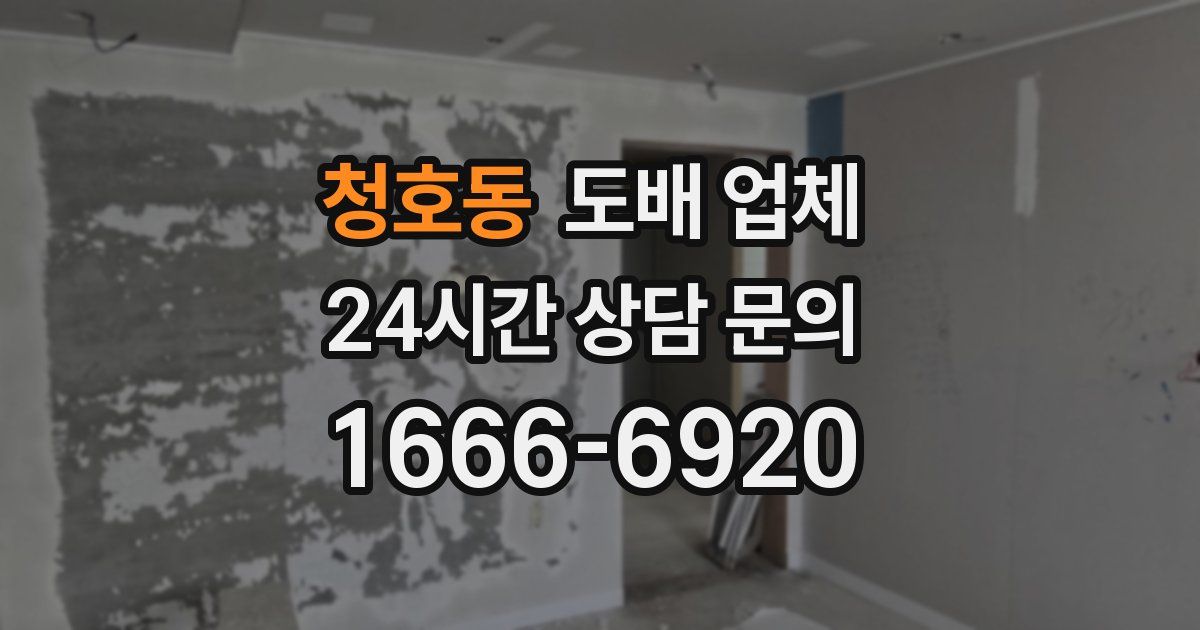 청호동 도배 업체