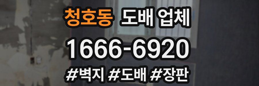 청호동 도배 업체