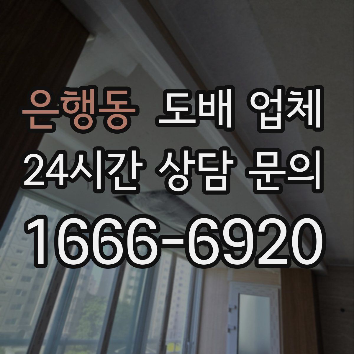 은행동 도배 업체