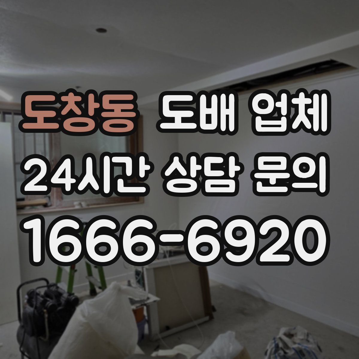 도창동 도배 업체