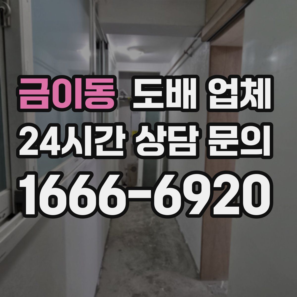 금이동 도배 업체