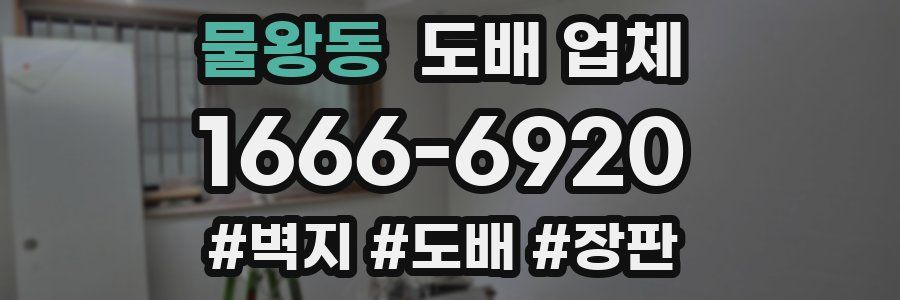 물왕동 도배 업체