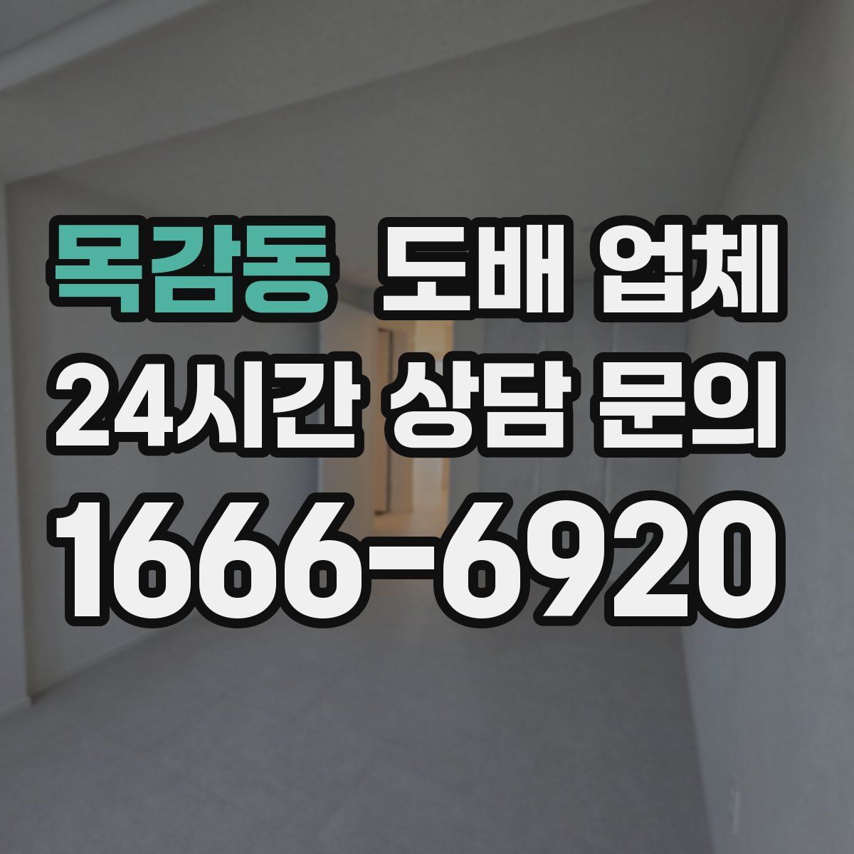 목감동 도배 업체