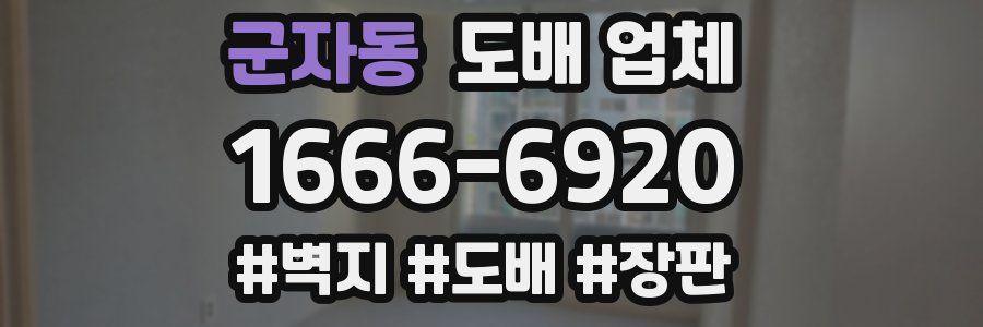 군자동 도배 업체
