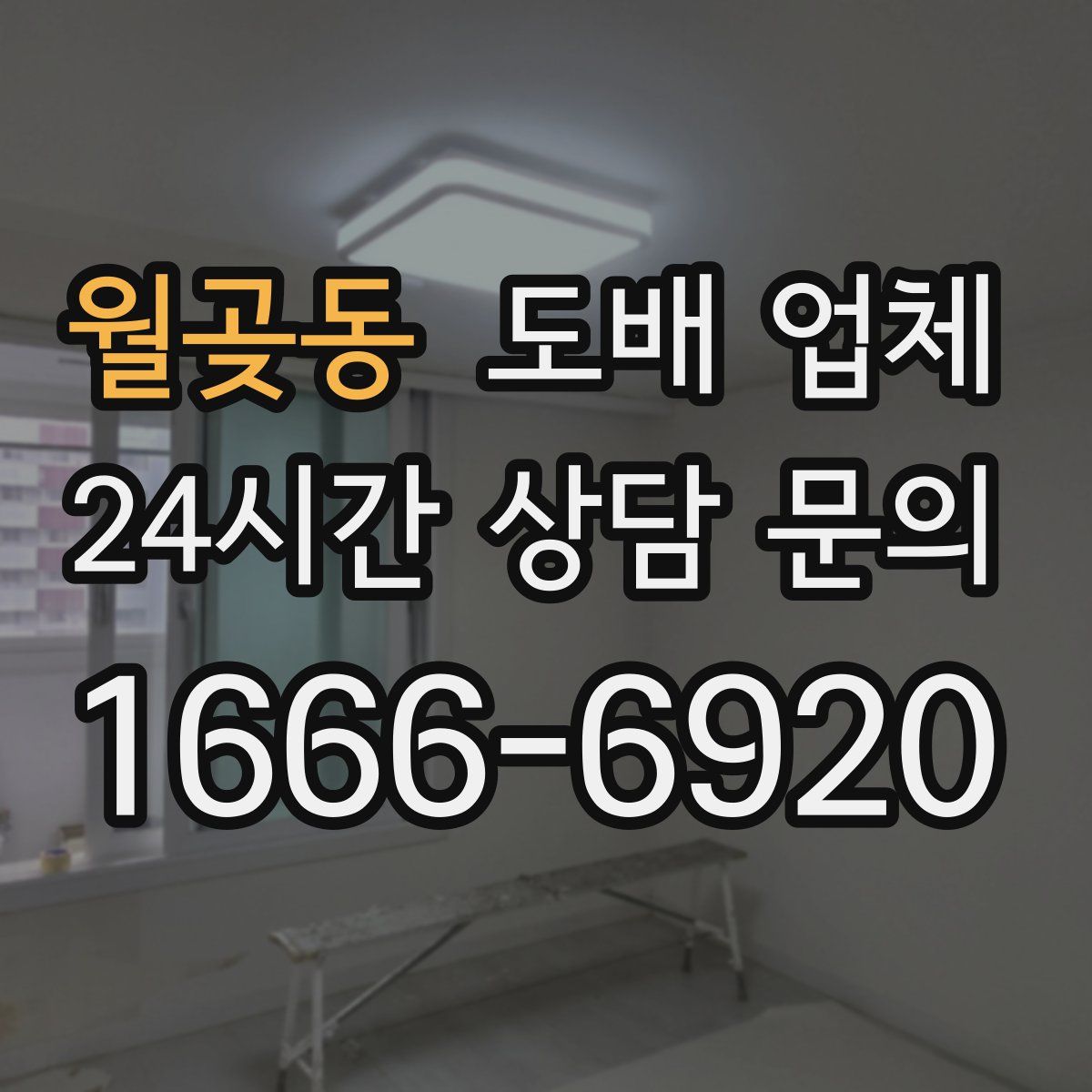 월곶동 도배 업체