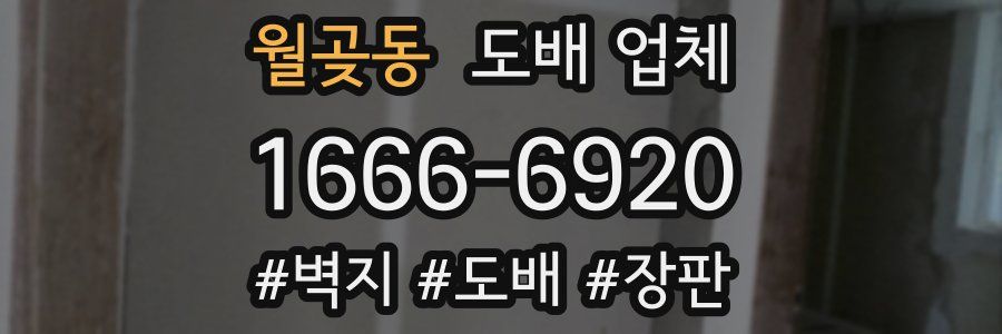 월곶동 도배 업체