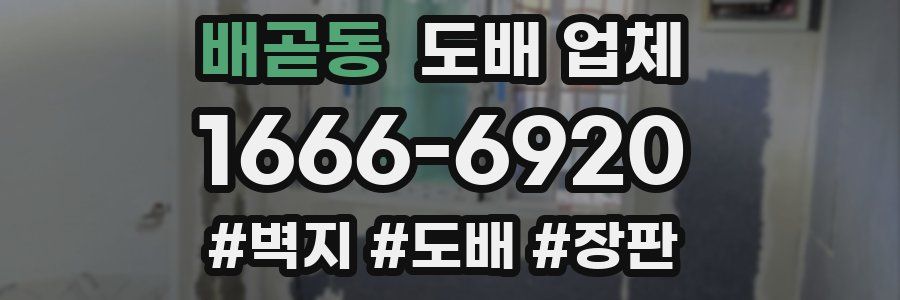 배곧동 도배 업체