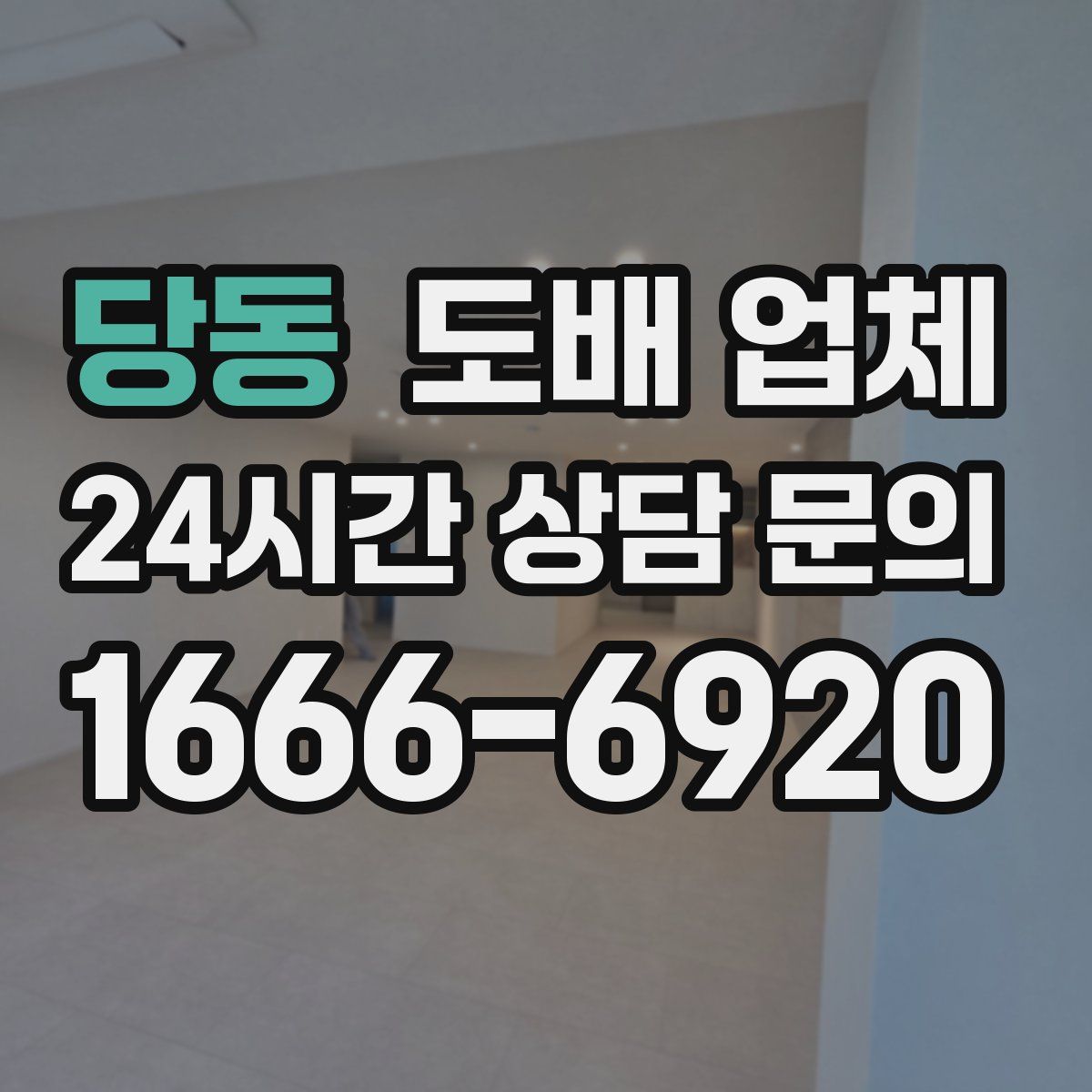 당동 도배 업체