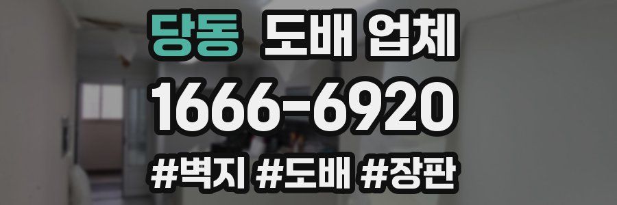 당동 도배 업체