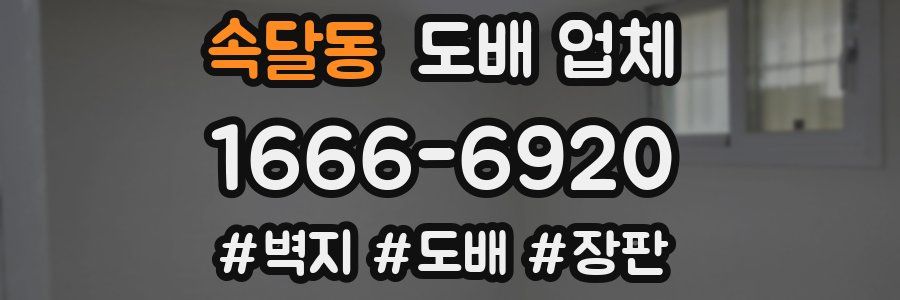 속달동 도배 업체