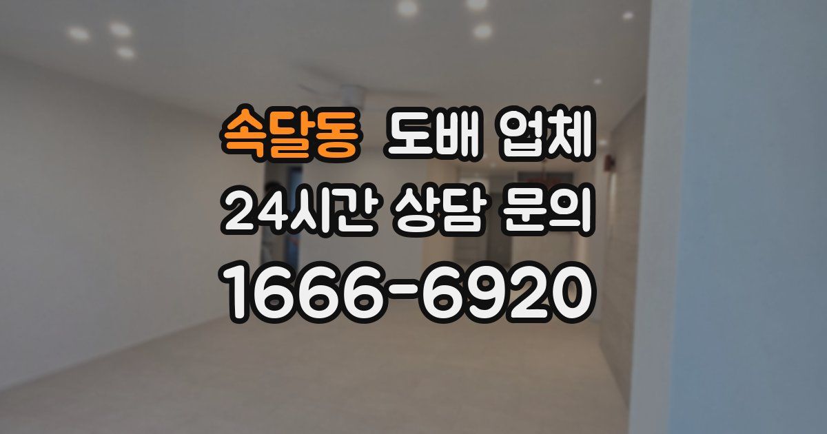 속달동 도배 업체