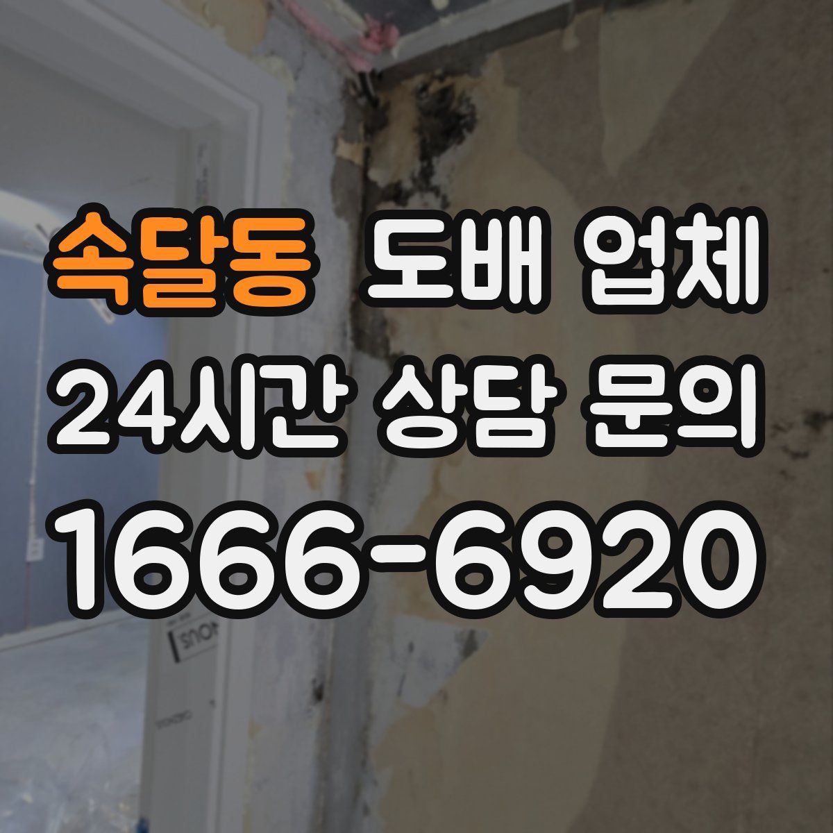 속달동 도배 업체