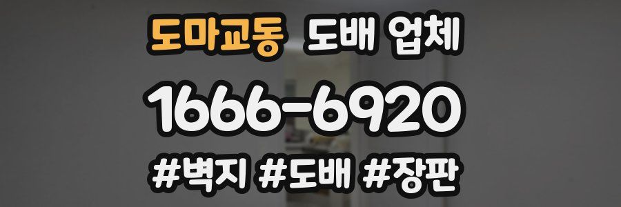 도마교동 도배 업체