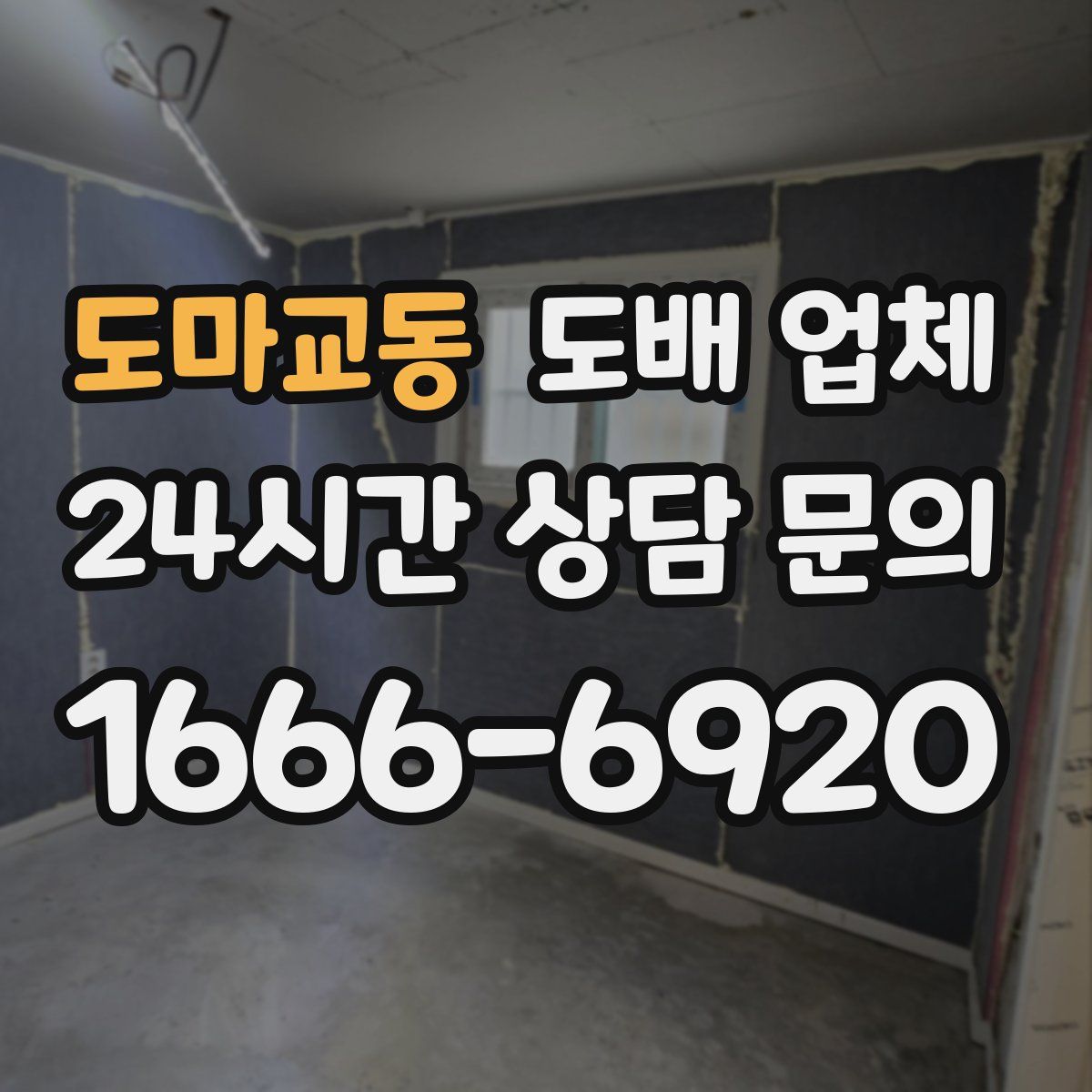 도마교동 도배 업체