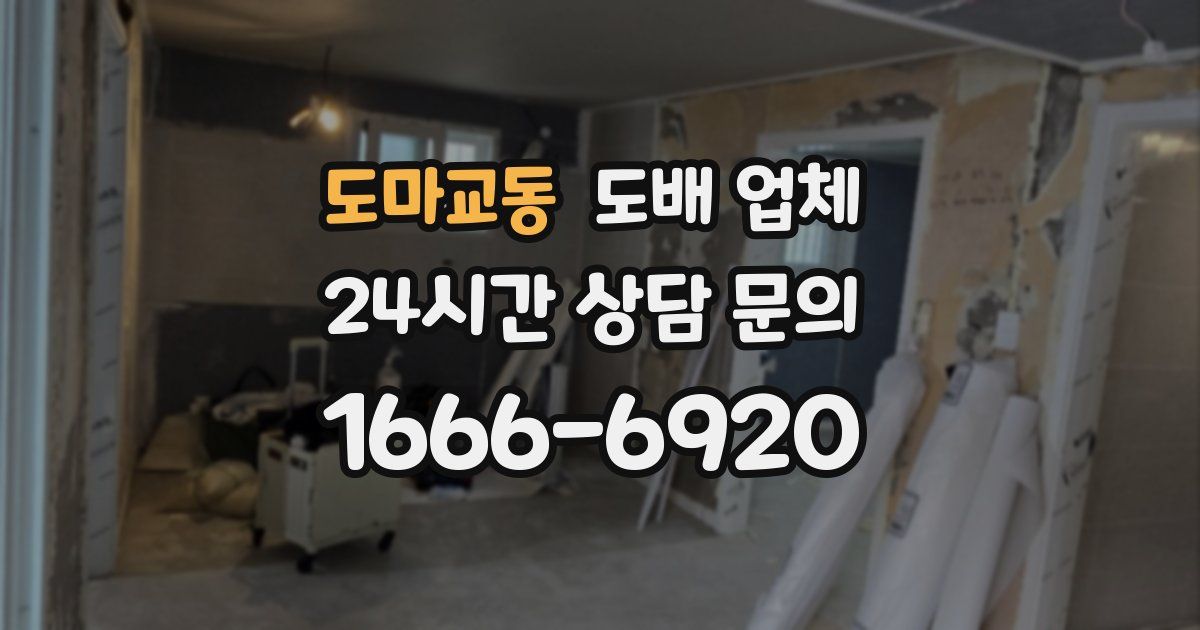 도마교동 도배 업체