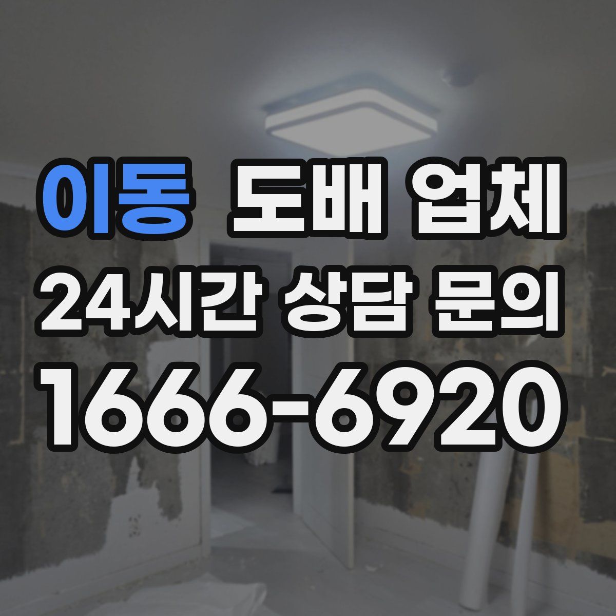 이동 도배 업체