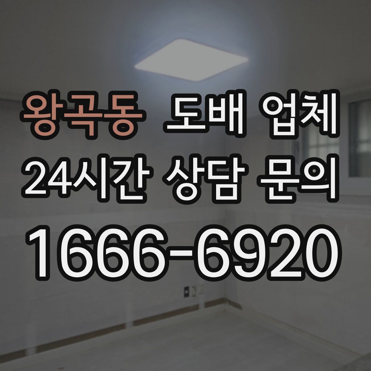 왕곡동 도배 업체