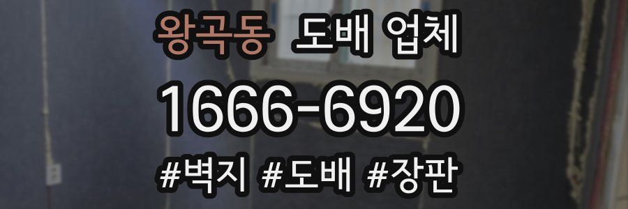 왕곡동 도배 업체
