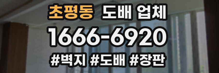 초평동 도배 업체