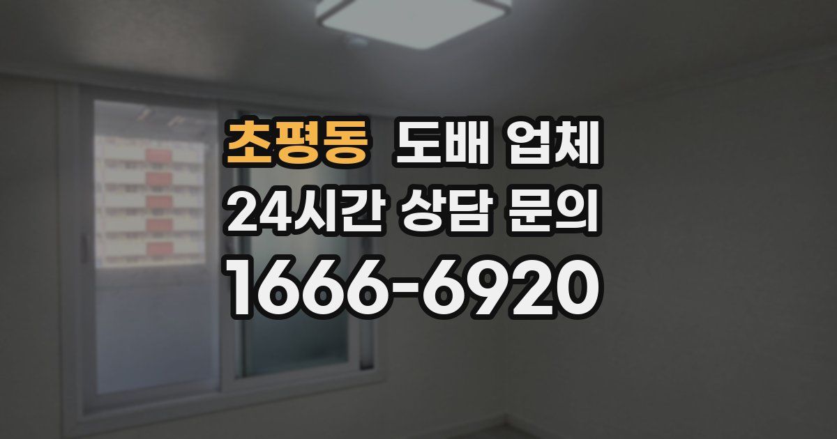 초평동 도배 업체