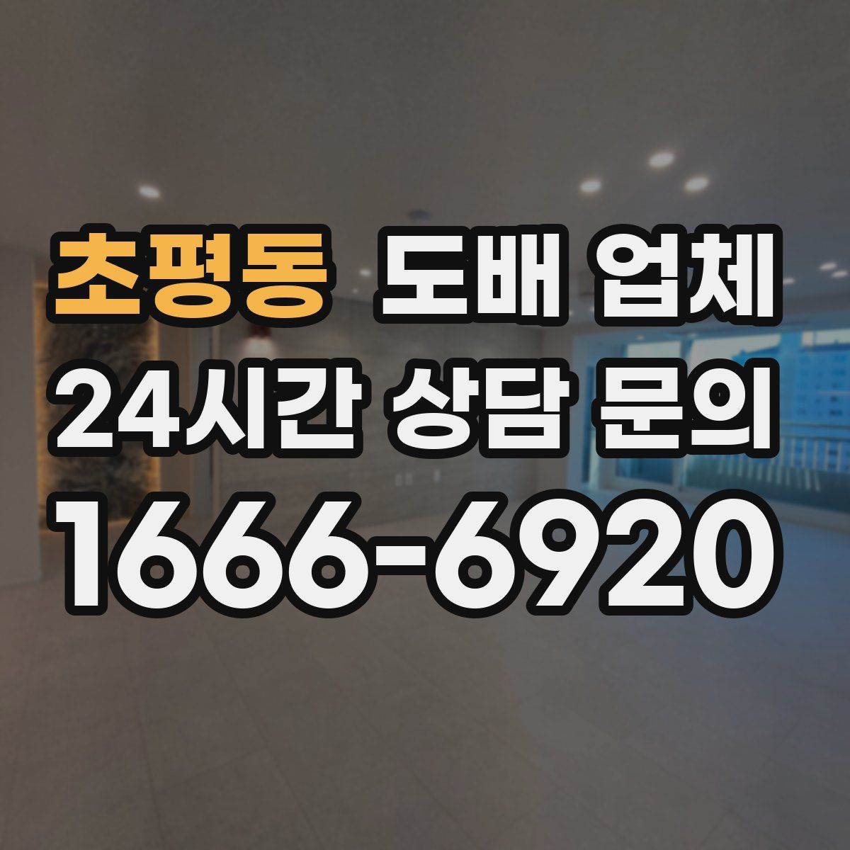 초평동 도배 업체