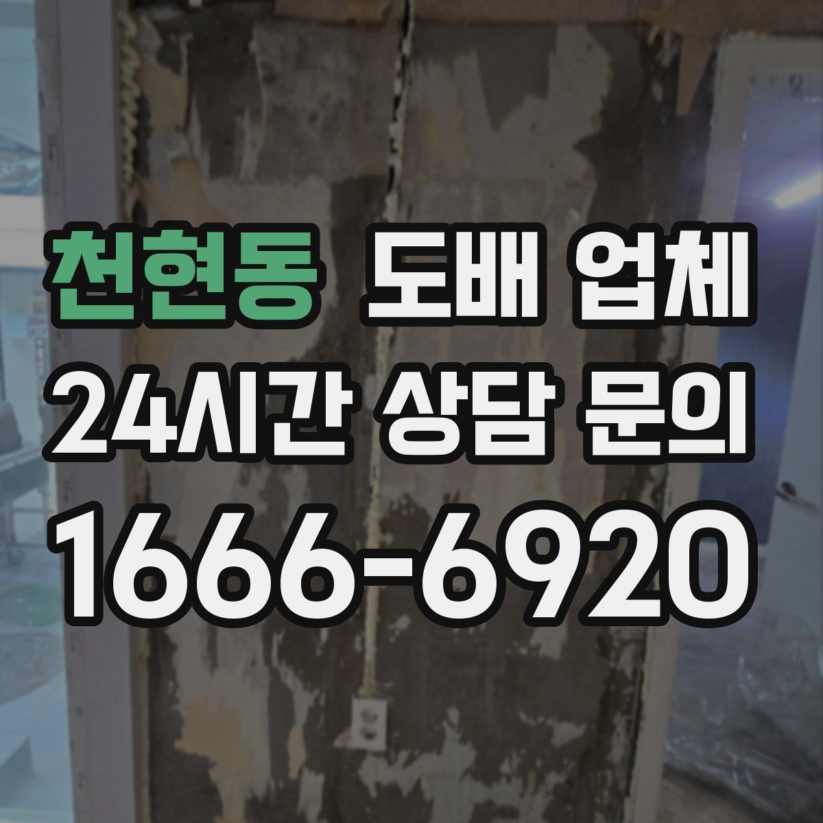 천현동 도배 업체