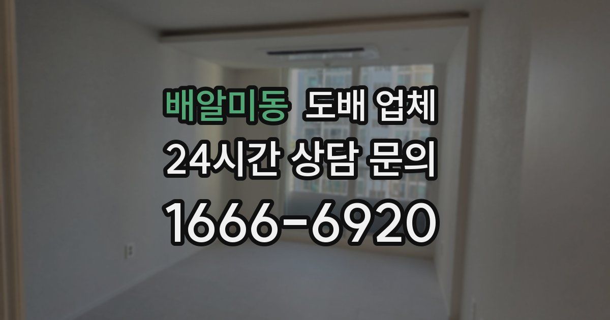 배알미동 도배 업체