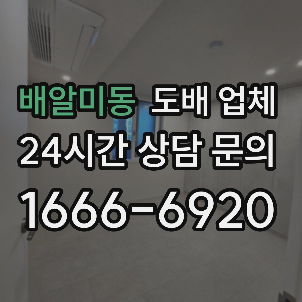 배알미동 도배 업체