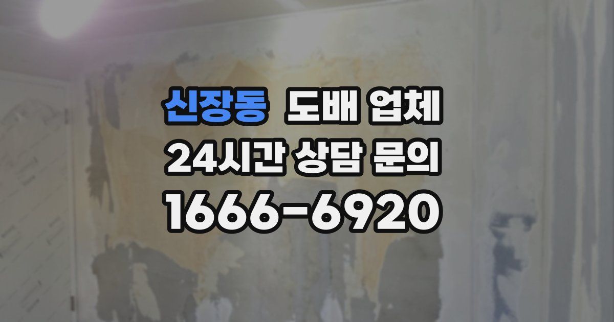 신장동 도배 업체