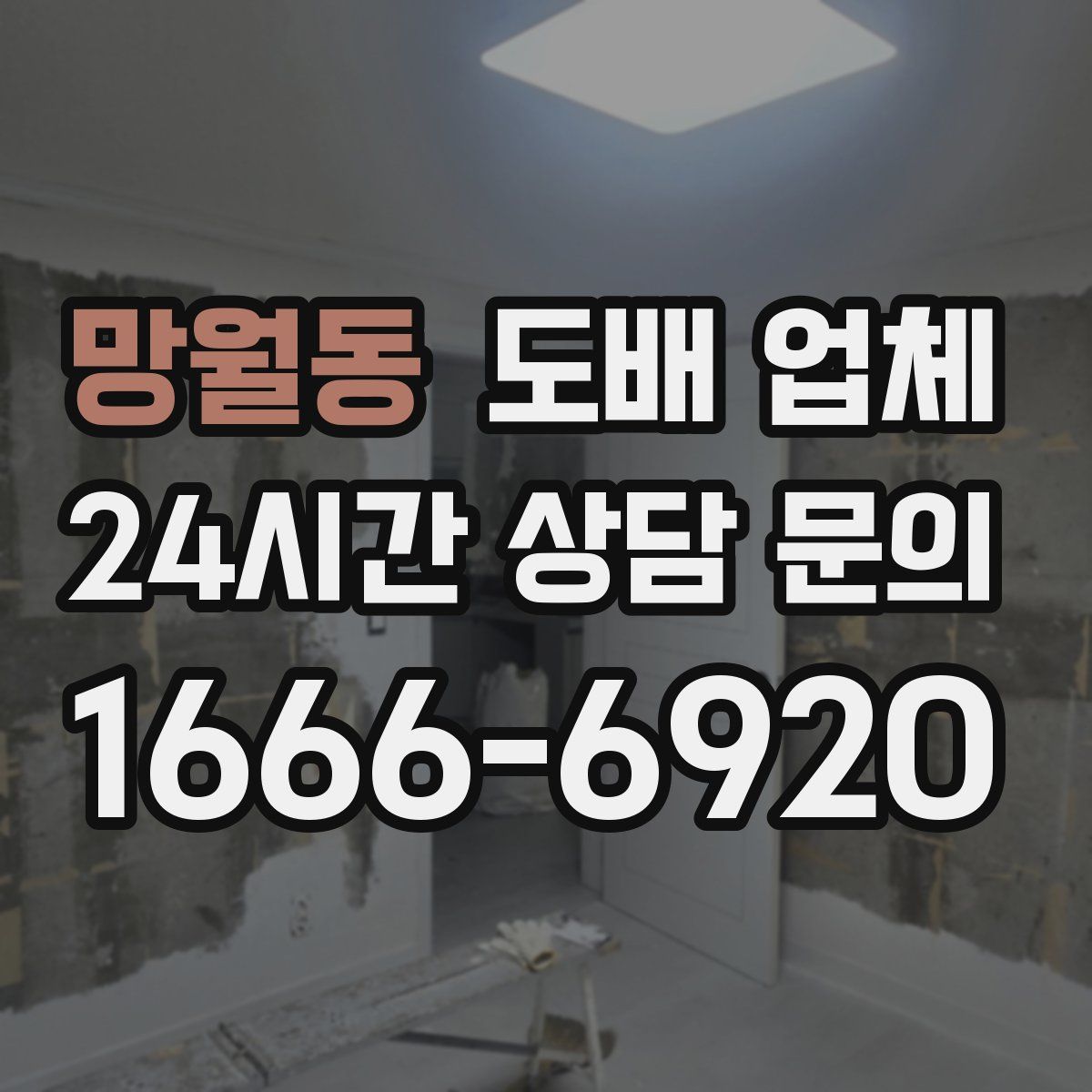 망월동 도배 업체