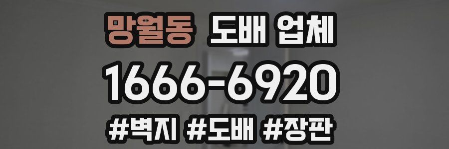 망월동 도배 업체