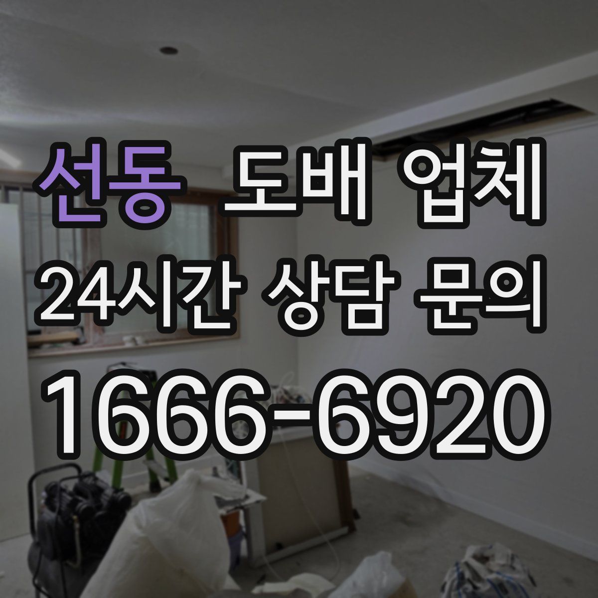 선동 도배 업체