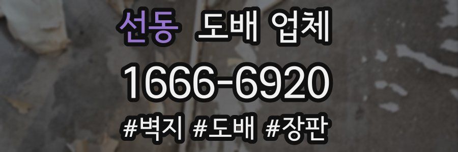 선동 도배 업체