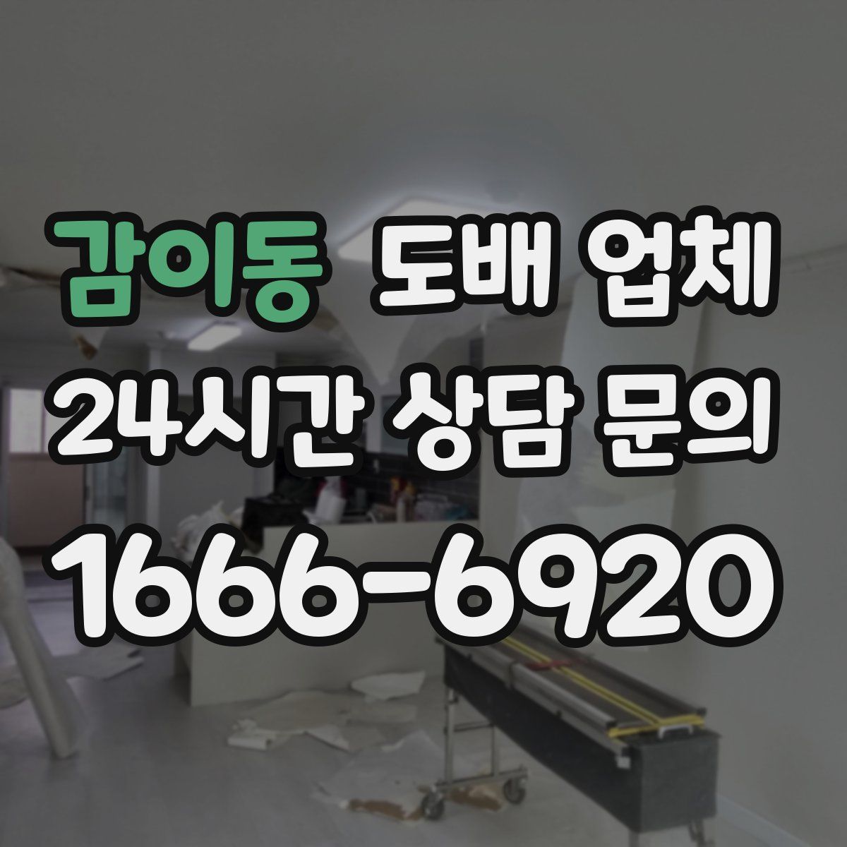 감이동 도배 업체