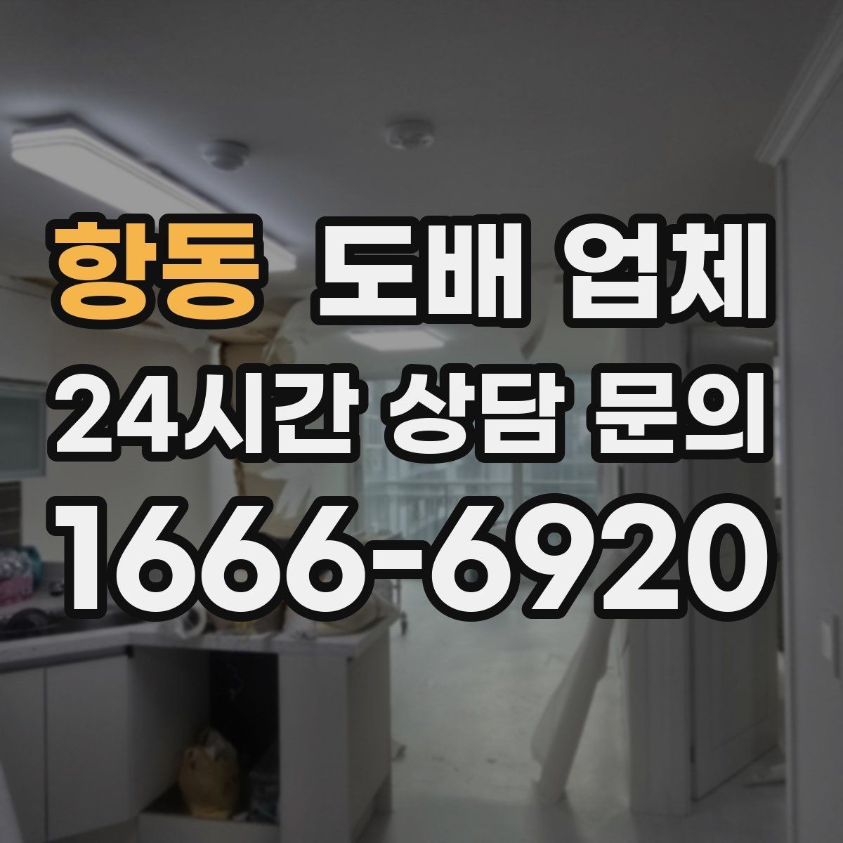 항동 도배 업체 진행 절차를 쉽게 정리