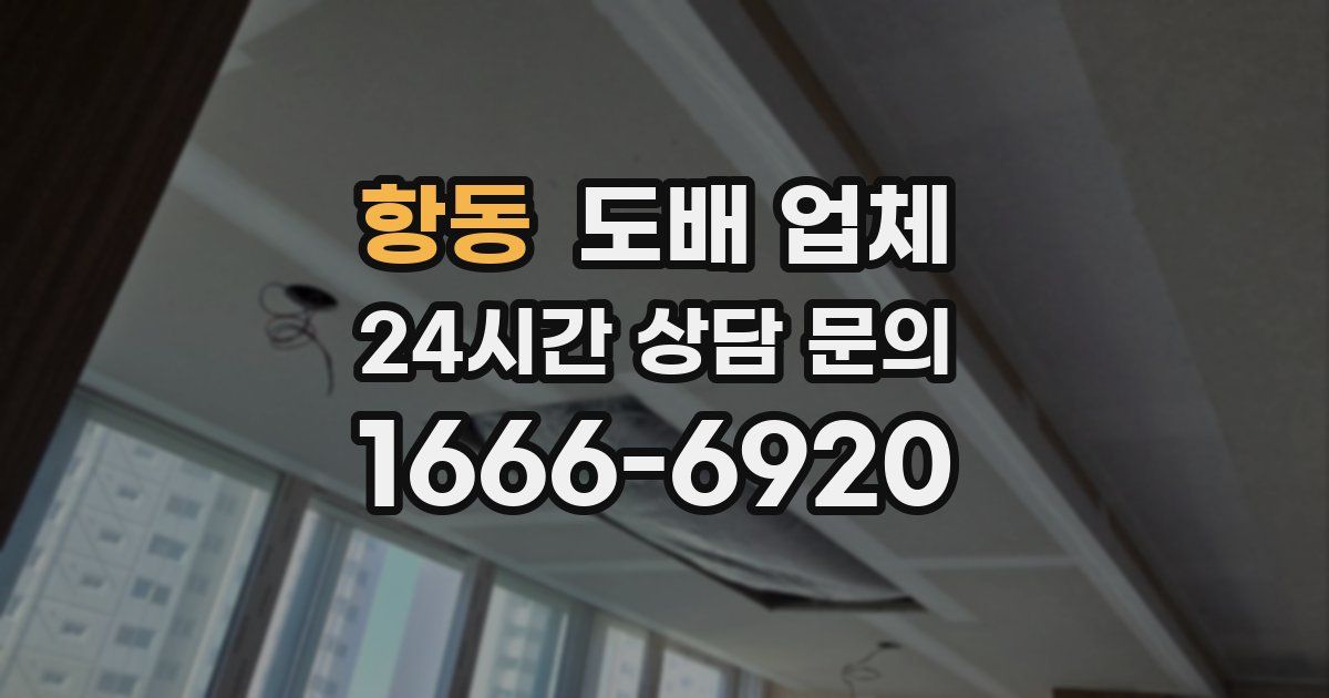 항동 도배 업체