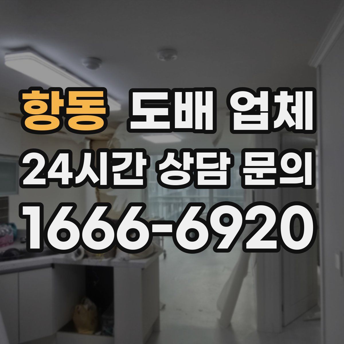 항동 도배 업체