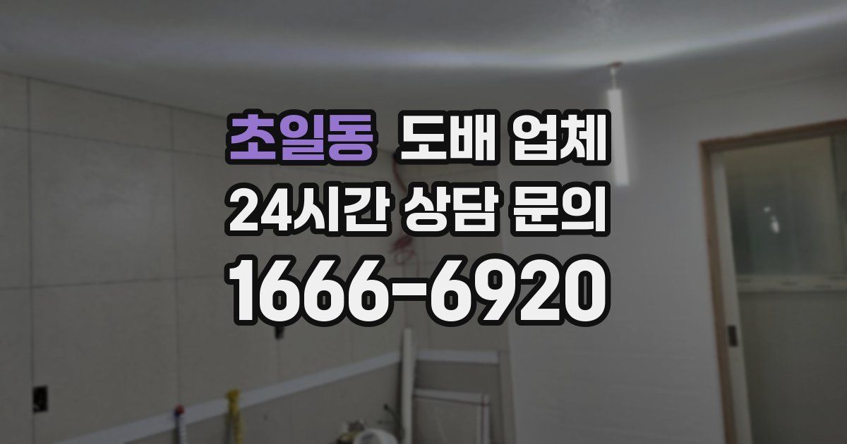 초일동 도배 업체
