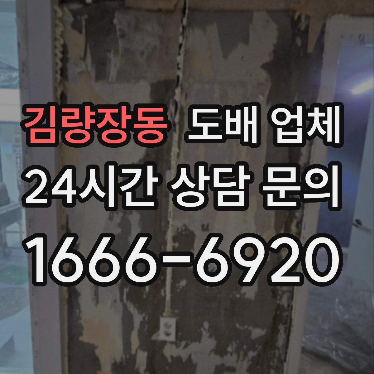 김량장동 도배 업체